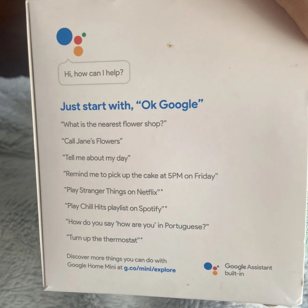 Google home mini